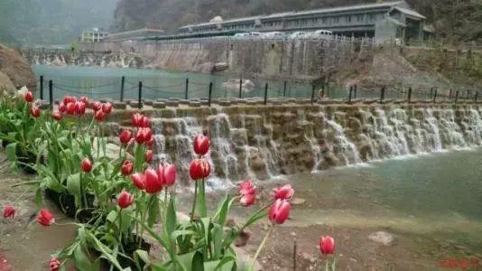 纯净宁静!贵州黔东南大峡谷大雪纷飞如梦境